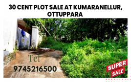 30 cent Plot For Sale at Ottuppara, Vadakkanchery,Thrissur